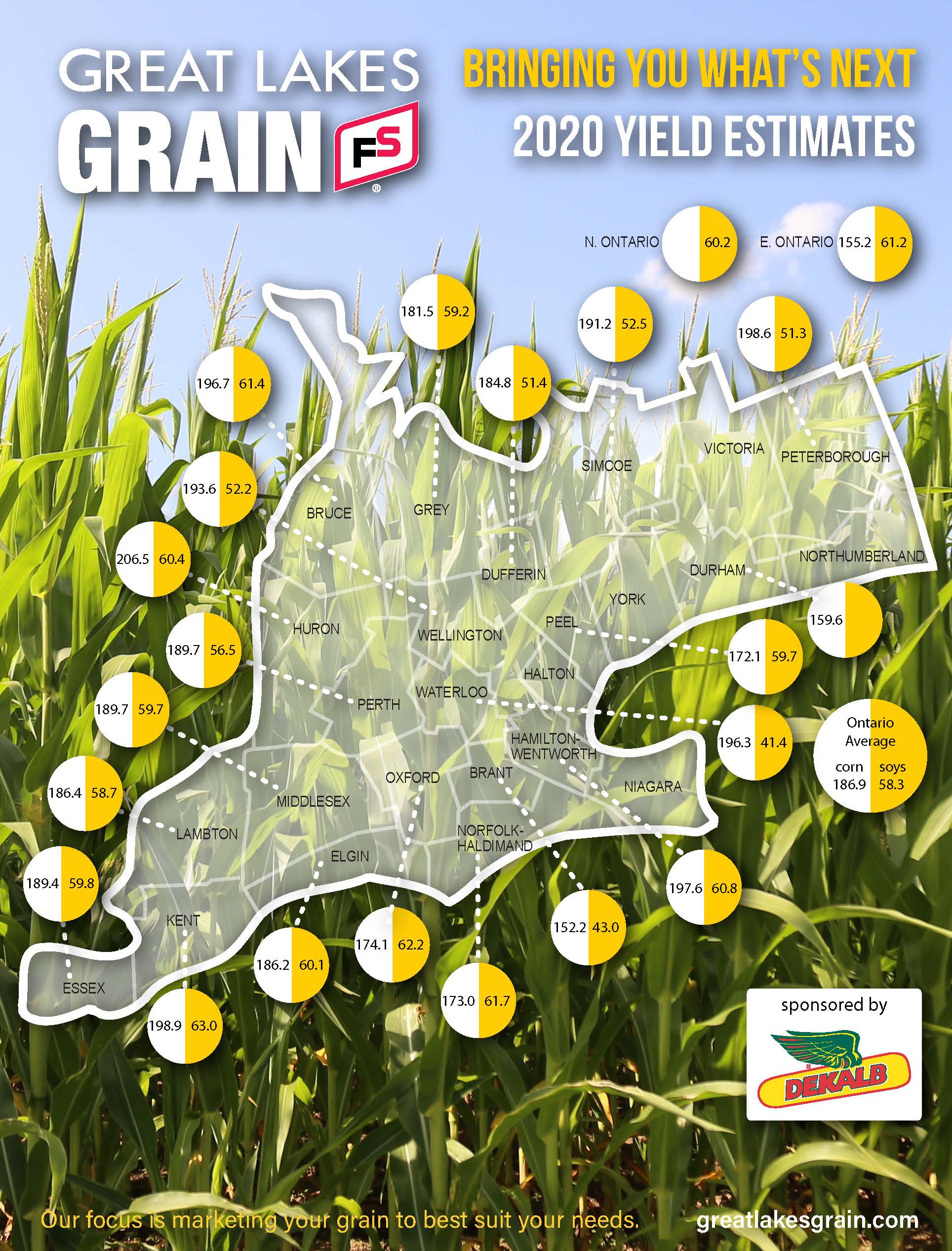 GLG We Know Markets Crop Result 2020 v2